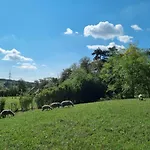 Pilikan - Park, Agroturism, Vineyard & Farm 公寓