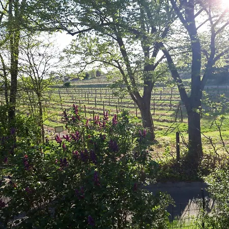 Pilikan - Park, Agroturism, Vineyard & Farm Cserszegtomaj