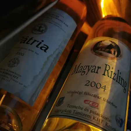 Pilikan - Park, Agroturism, Vineyard & Farm Cserszegtomaj