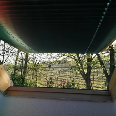 Pilikan - Park, Agroturism, Vineyard & Farm * Cserszegtomaj