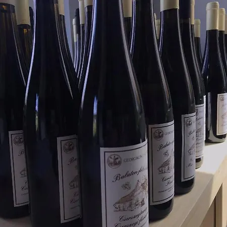 Daire Pilikán - Park, Agroturism, Vineyard&farm *