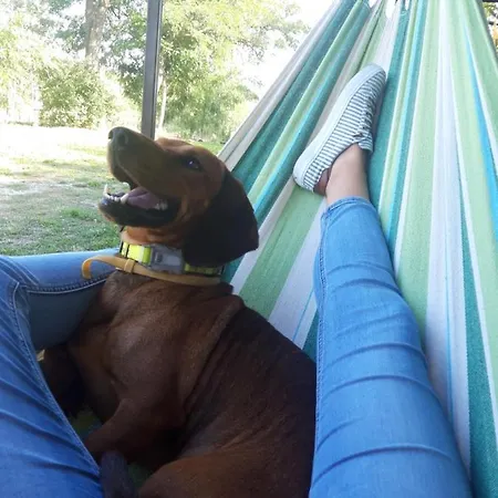 Pilikan - Park, Agroturism, Vineyard & Farm Апартаменты *