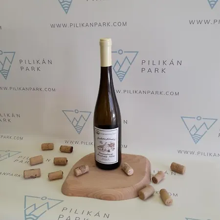 Pilikan - Park, Agroturism, Vineyard & Farm Cserszegtomaj