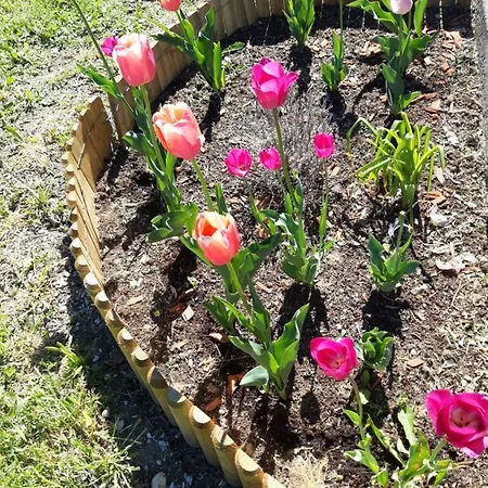 Pilikán - Park, Agroturism, Vineyard&farm *