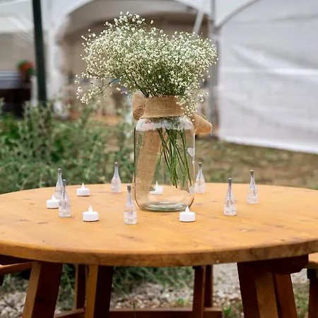 Pilikan - Park, Agroturism, Vineyard & Farm Черсегтомай