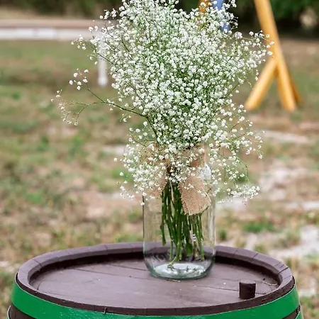 Pilikán - Park, Agroturism, Vineyard&farm