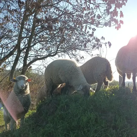 Pilikan - Park, Agroturism, Vineyard & Farm Lägenhet