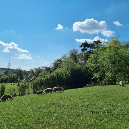 Pilikan - Park, Agroturism, Vineyard & Farm Lägenhet