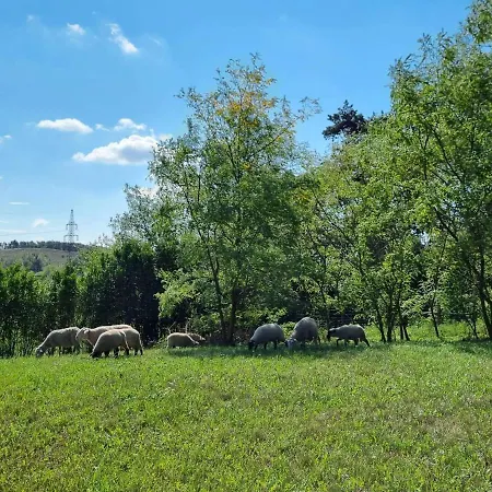 Pilikán - Park, Agroturism, Vineyard&farm *