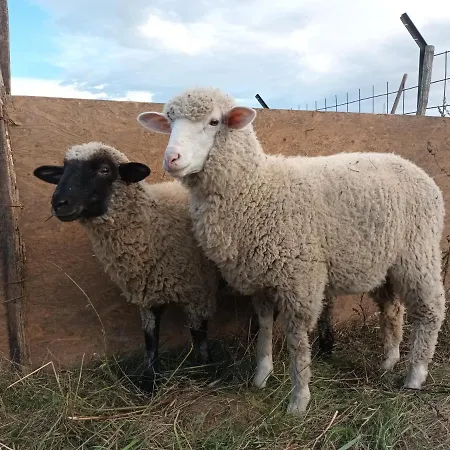 Pilikan - Park, Agroturism, Vineyard & Farm