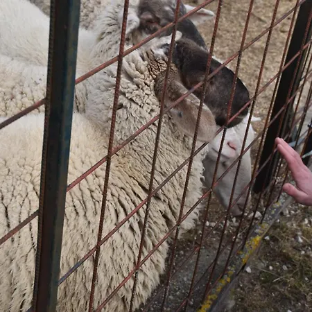 Daire Pilikán - Park, Agroturism, Vineyard&farm *
