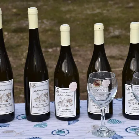 Pilikán - Park, Agroturism, Vineyard&farm Daire Cserszegtomaj