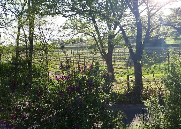 Pilikan - Park, Agroturism, Vineyard & Farm צ'רסגטומאי