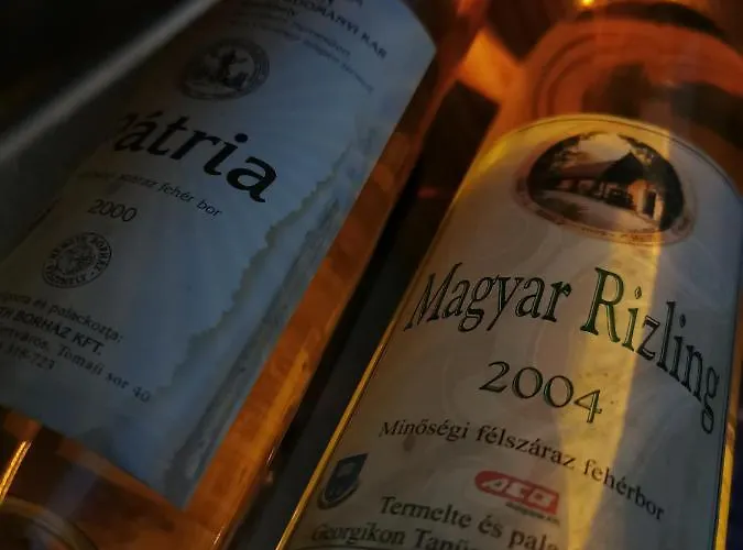 Pilikan - Park, Agroturism, Vineyard & Farm צ'רסגטומאי