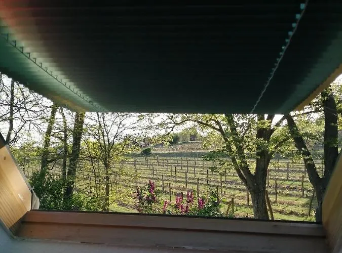 Pilikan - Park, Agroturism, Vineyard & Farm * צ'רסגטומאי