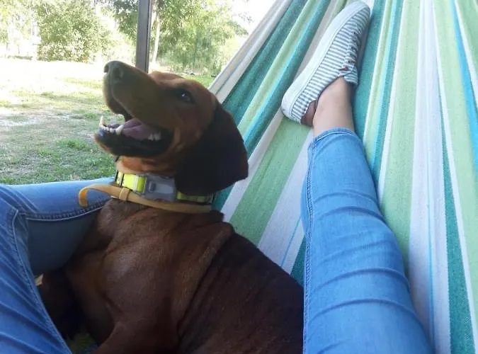 Pilikan - Park, Agroturism, Vineyard & Farm דירה *