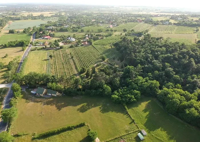 Pilikan - Park, Agroturism, Vineyard & Farm * צ'רסגטומאי