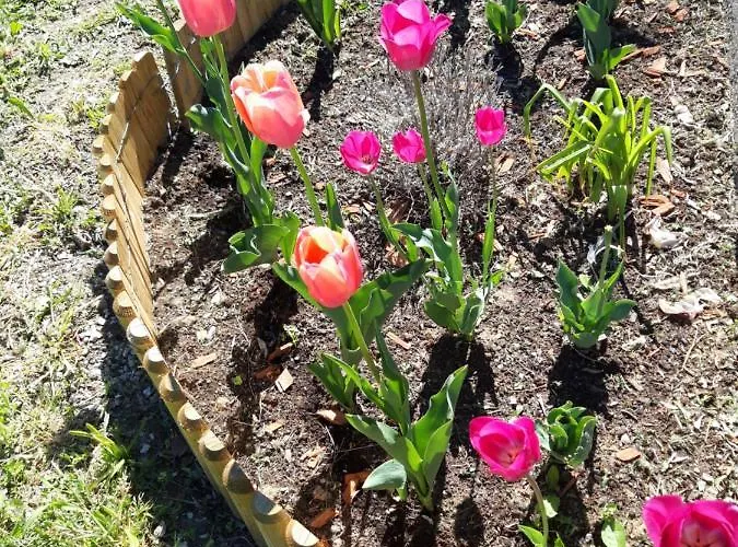 Pilikan - Park, Agroturism, Vineyard & Farm *