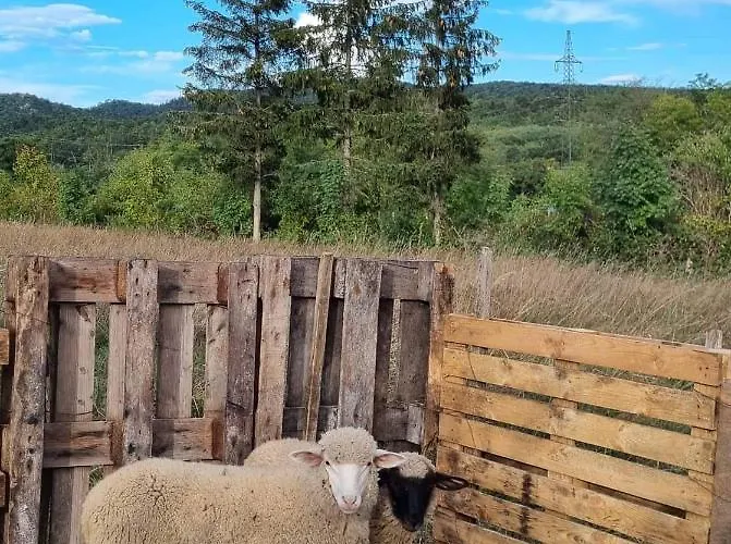 דירה Pilikan - Park, Agroturism, Vineyard & Farm