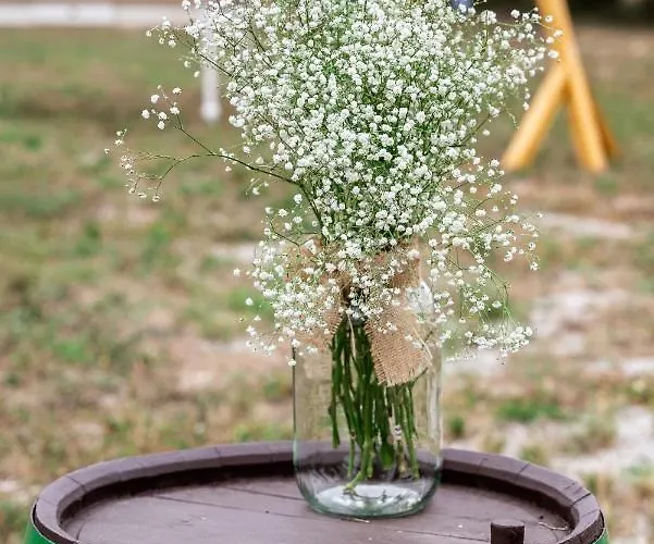 Pilikan - Park, Agroturism, Vineyard & Farm