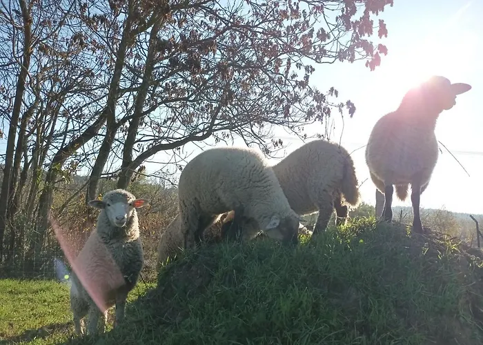 Pilikan - Park, Agroturism, Vineyard & Farm דירה