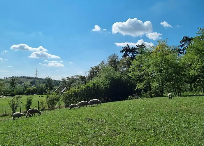 Pilikan - Park, Agroturism, Vineyard & Farm דירה