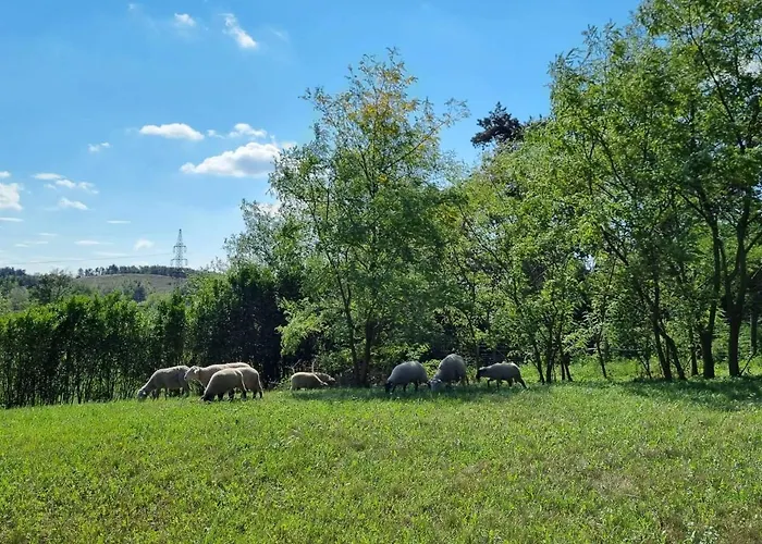 Pilikan - Park, Agroturism, Vineyard & Farm *