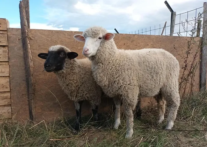 Pilikan - Park, Agroturism, Vineyard & Farm