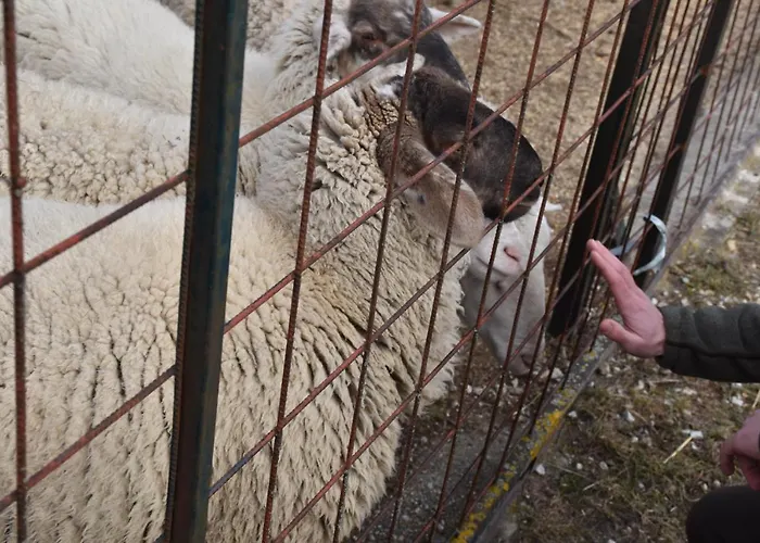 דירה Pilikan - Park, Agroturism, Vineyard & Farm *