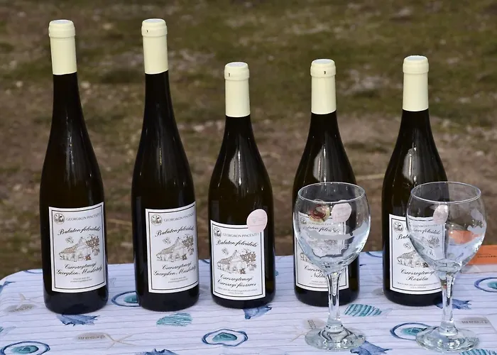 Pilikan - Park, Agroturism, Vineyard & Farm דירה צ'רסגטומאי