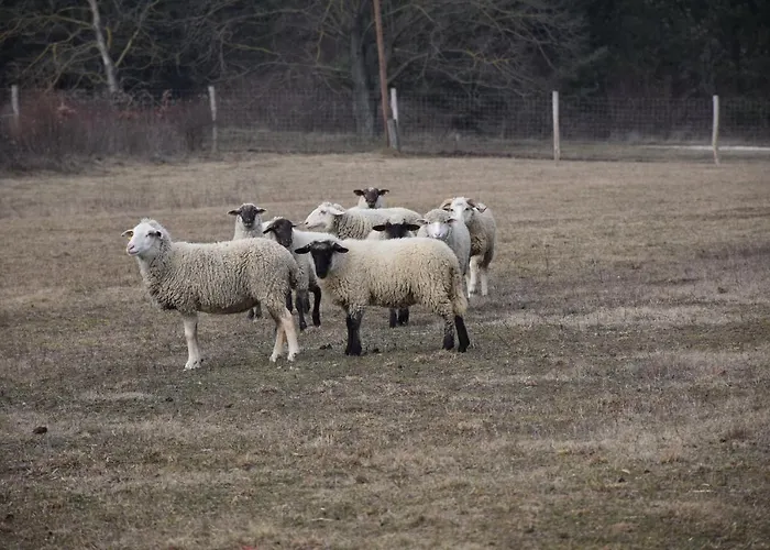 Pilikan - Park, Agroturism, Vineyard & Farm דירה *